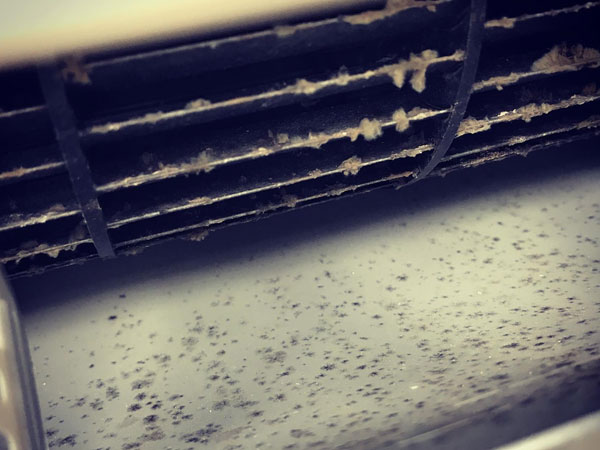 吹き出し口に注目