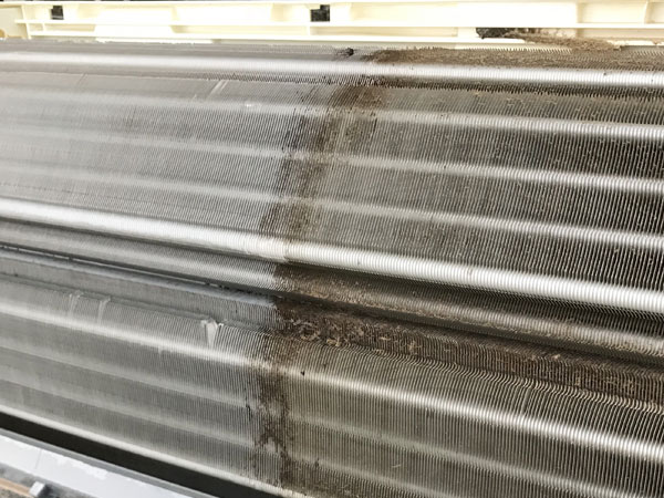 しっかりと汚れが落ちます